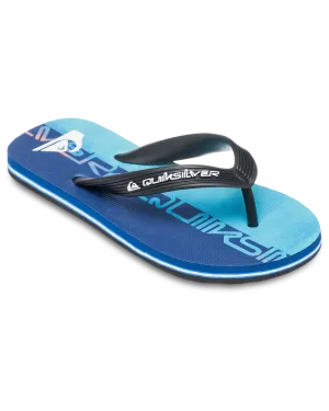Boys Molokai Art 25 Flip Flops in Nebulas Blue Wordblock