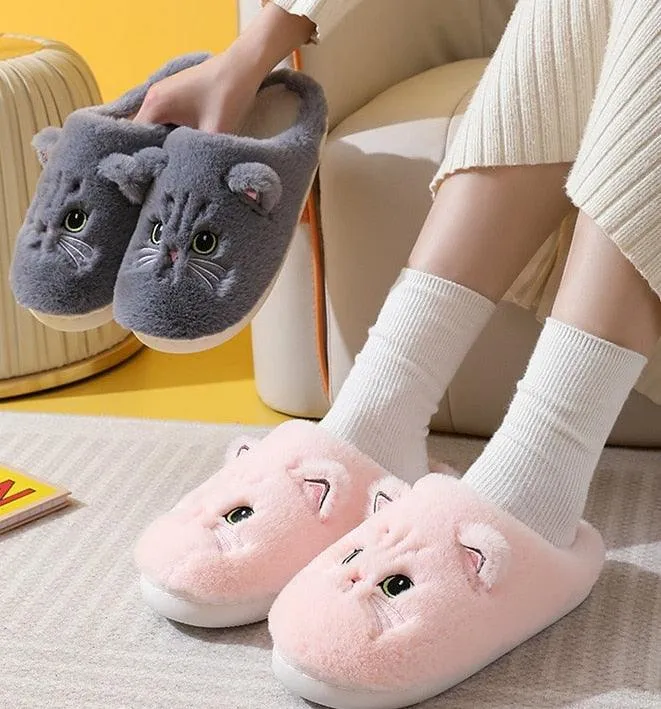 SOFT KITTY